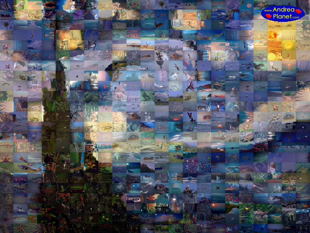 andreamosaic icon andreamosaic icon