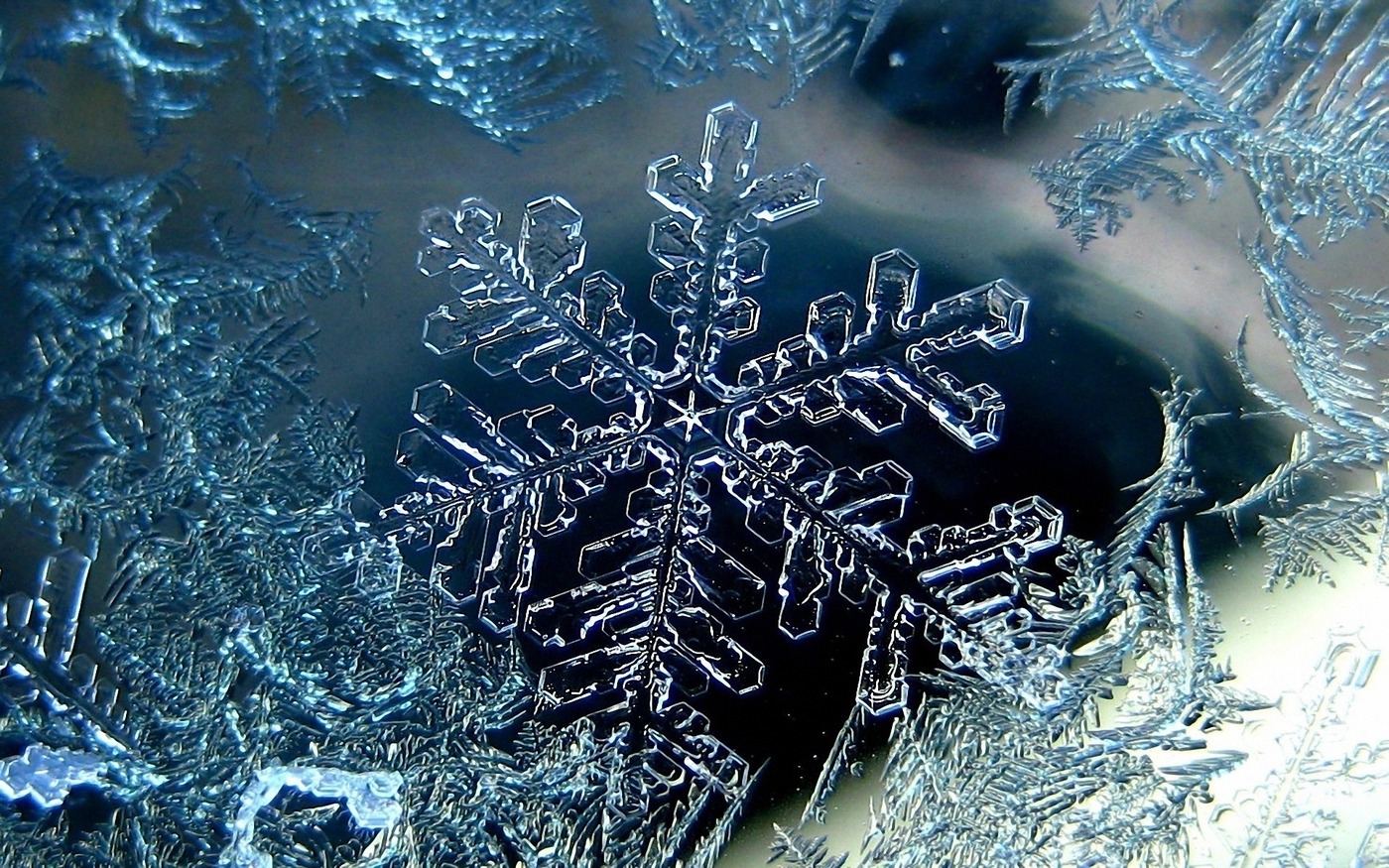 Snowflake Theme v1.0 - Free Download - OlderGeeks.com Freeware Downloads